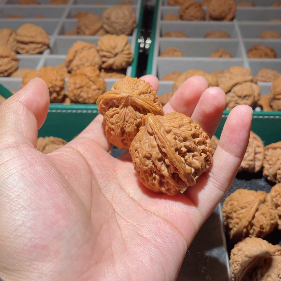 桃核把件大****刘41全品南疆石