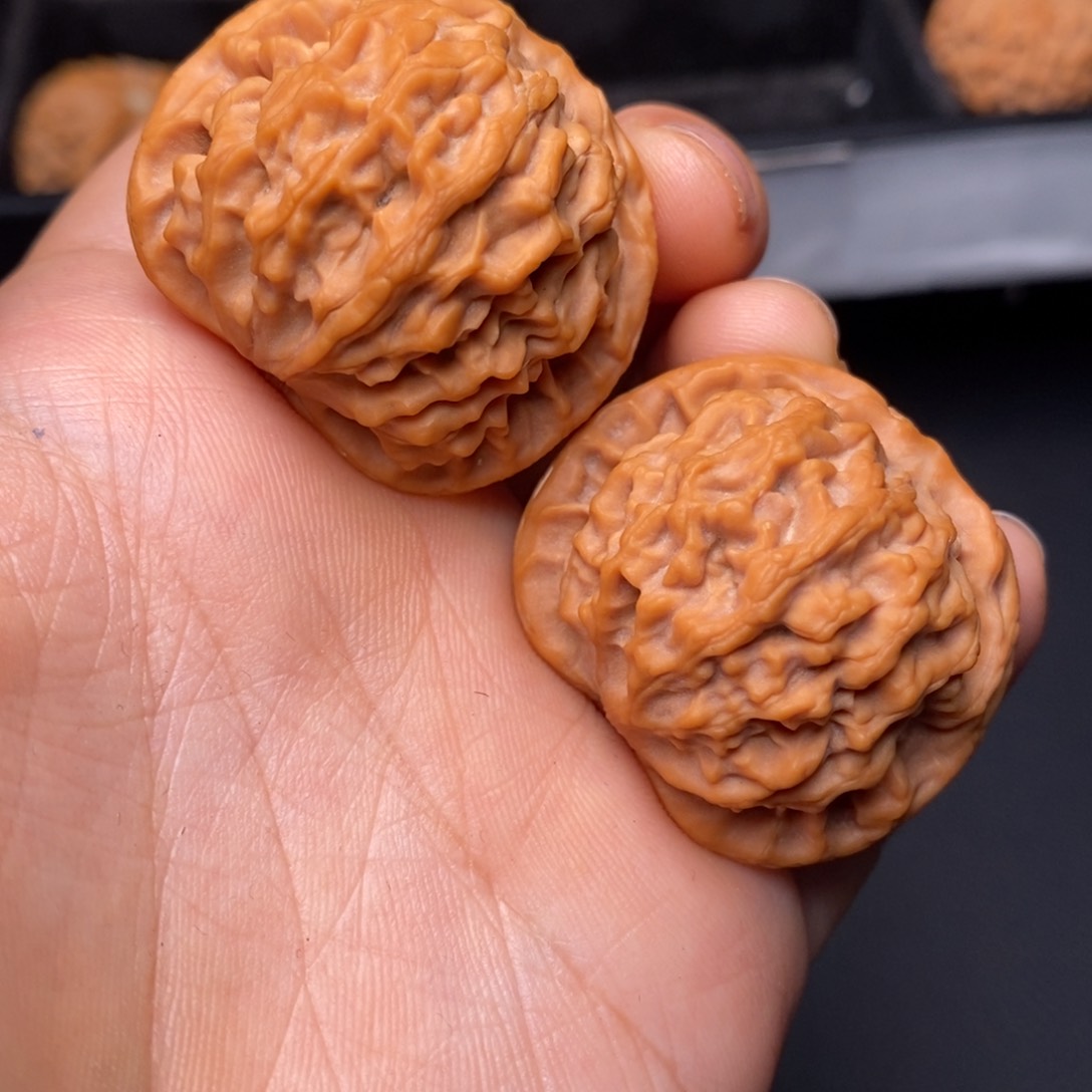 文玩核桃把件秦岭野生核桃