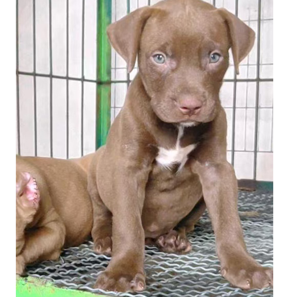 比特照片《定金》拍这个