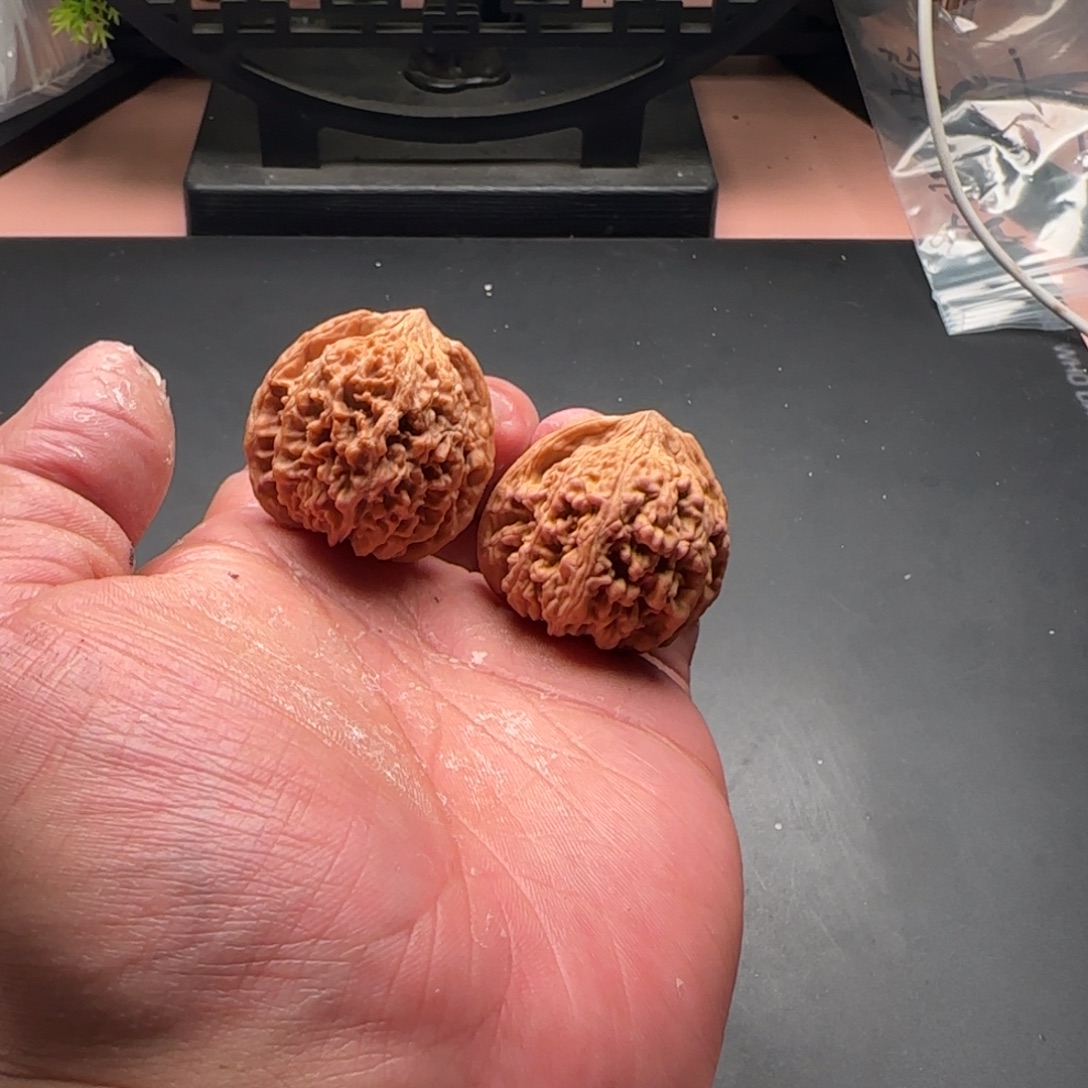 ****璇手串/手链核桃666666666