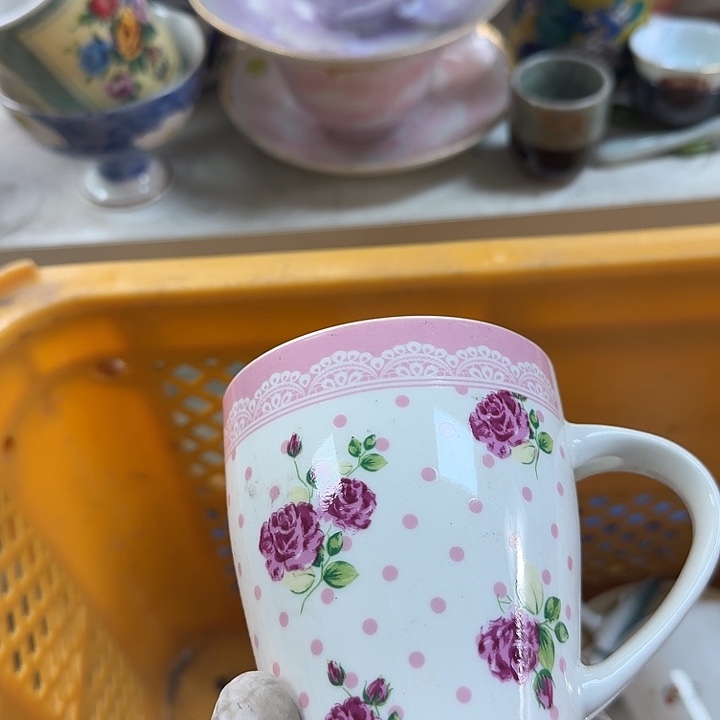 碟开播啦….开播啦