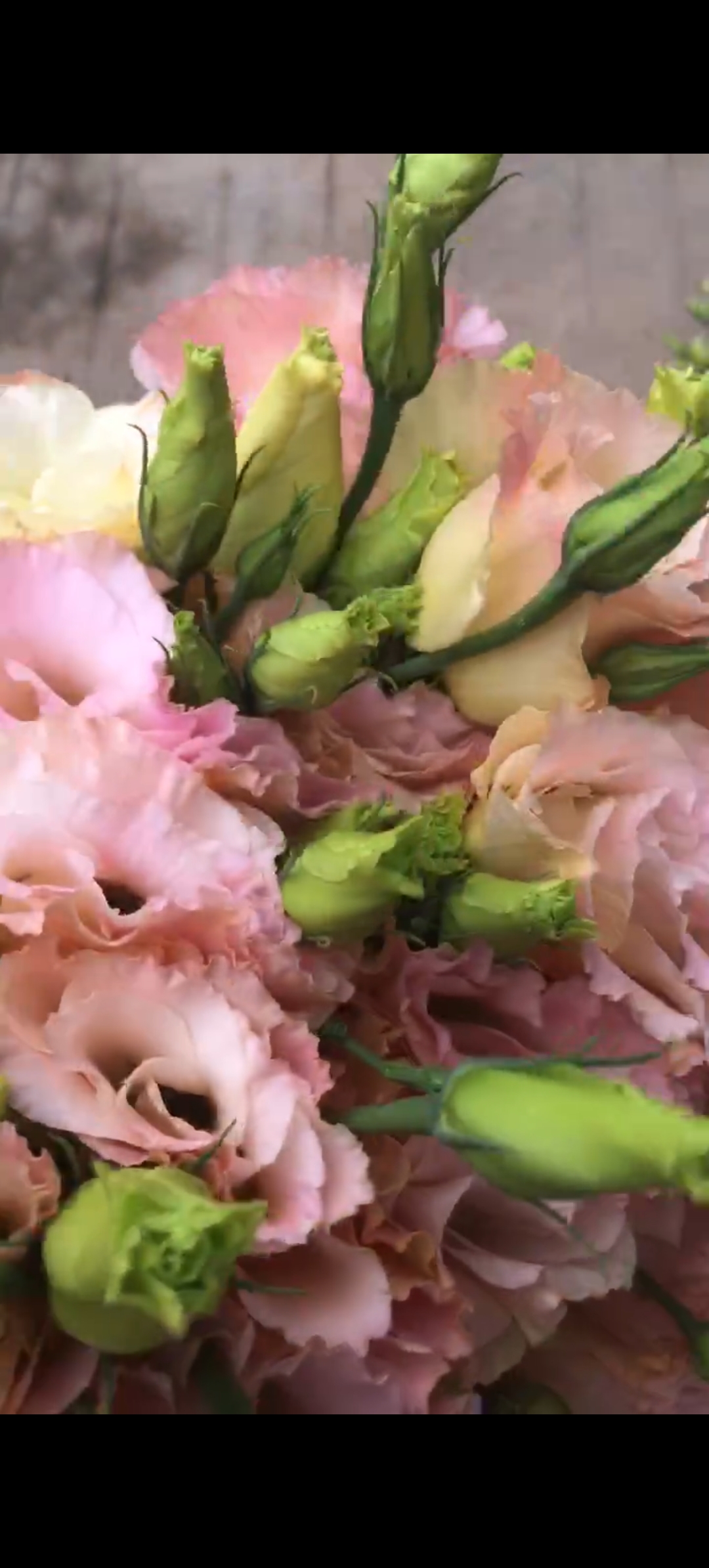 新鲜洋桔梗鲜花云南基地直发家用室内水培花束