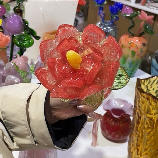 琉璃@***生夜光花高45厘米