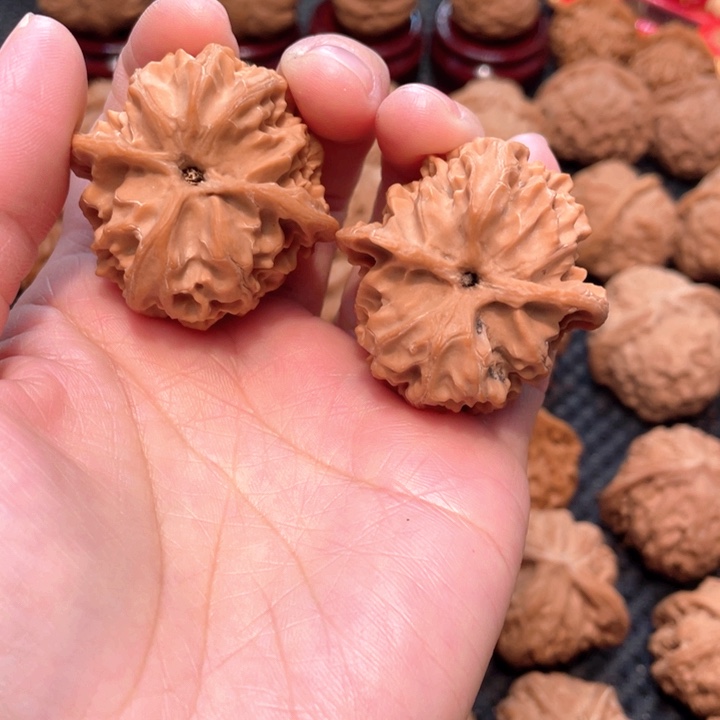 原装苹果园4.0全品无修。