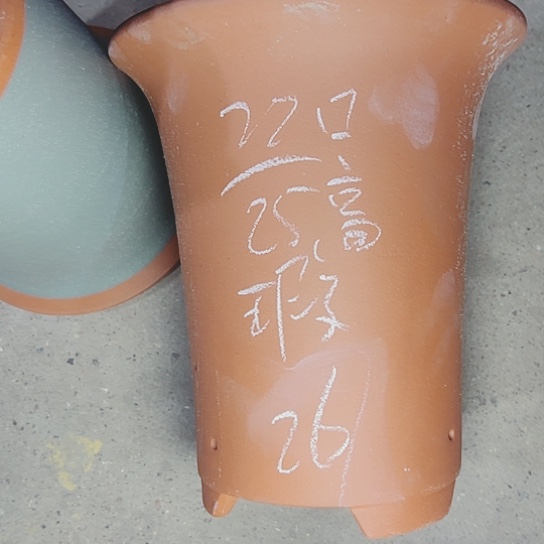 红陶紫砂紫砂这种