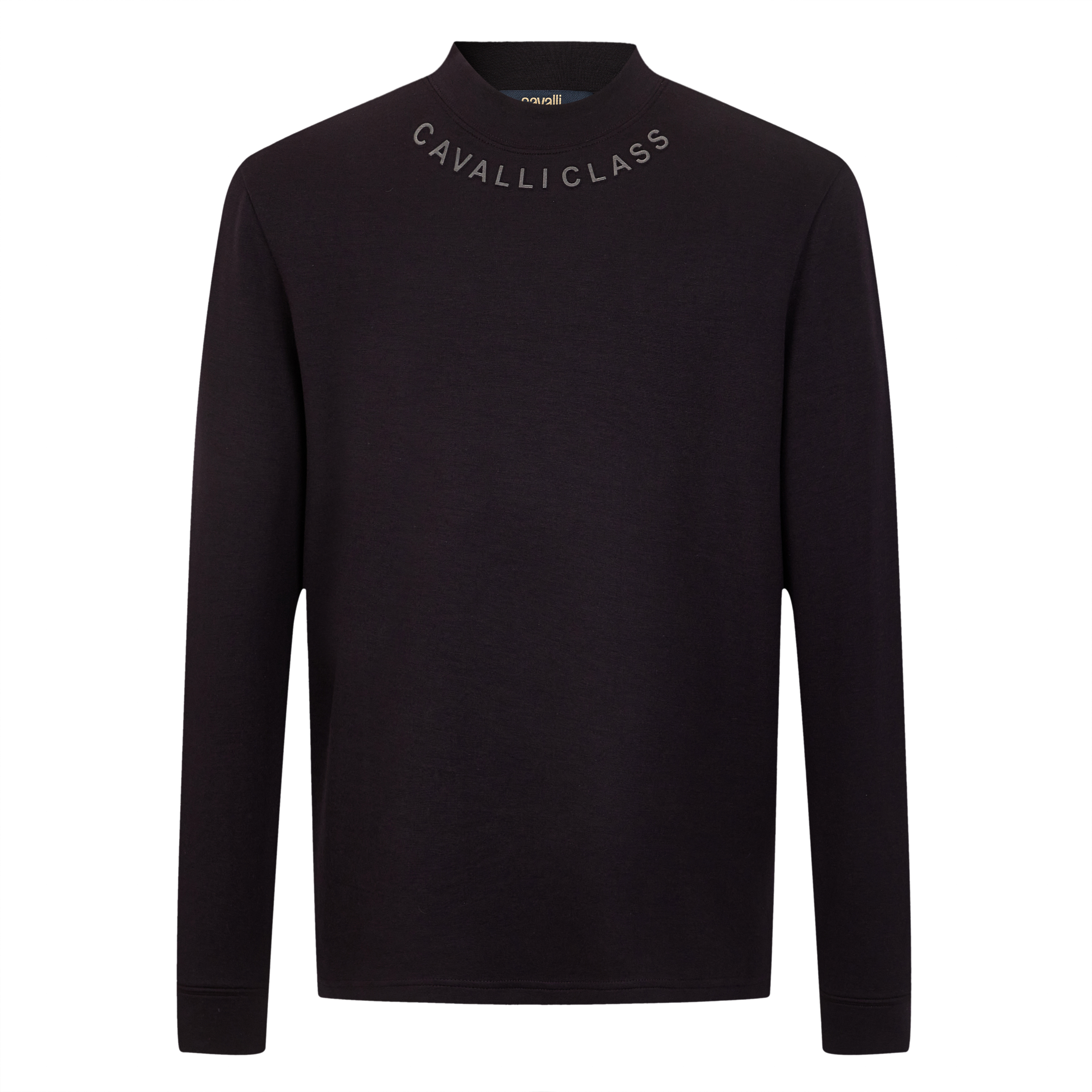 Cavalli Class25秋环标T恤打底衫百搭长袖极简休闲男RWC920