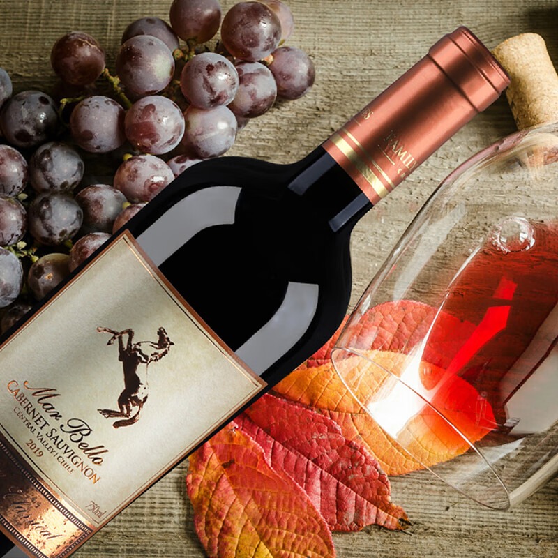 马标智利原瓶进口红酒经典金标干红葡萄酒中央山谷产区750ml