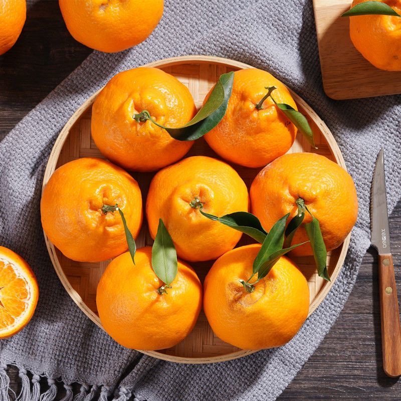 四川柑橘耙耙柑新鲜水果多汁爽口自然成熟XX