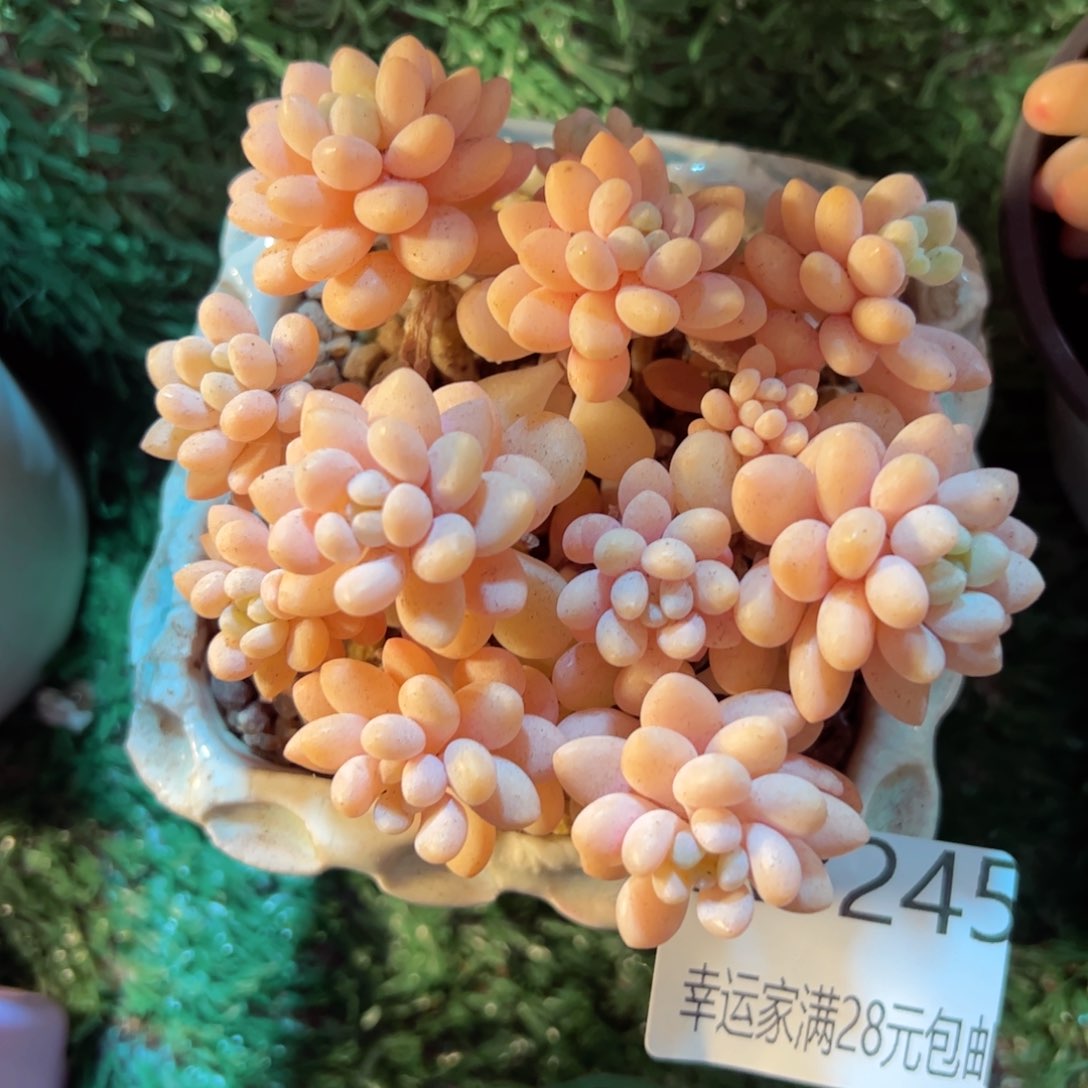 幸运的是我的朋友们