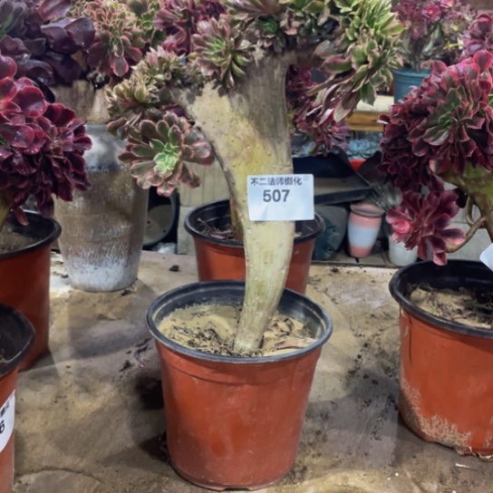 *****507，水墨画缀不包邮