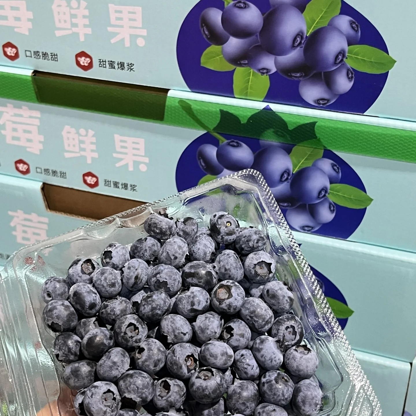 云南中果纯甜口蓝莓新鲜当季多汁水果现摘现发高山花香云南省