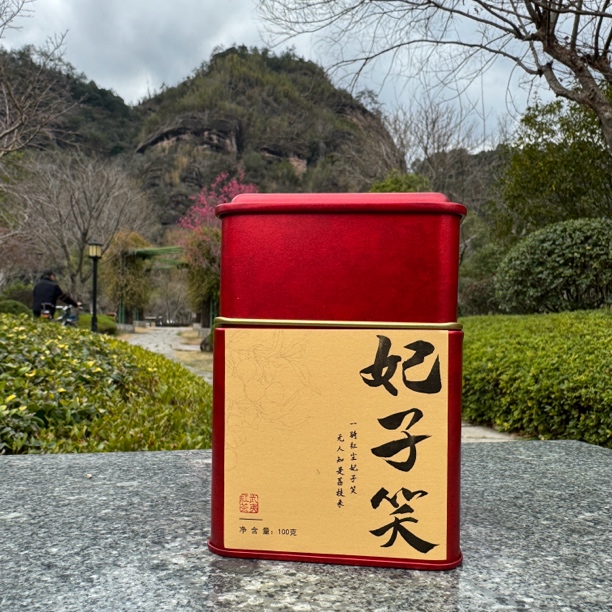 春自东南「妃子笑」100克/罐武夷红茶武夷小种红茶荔枝清甜密封送礼
