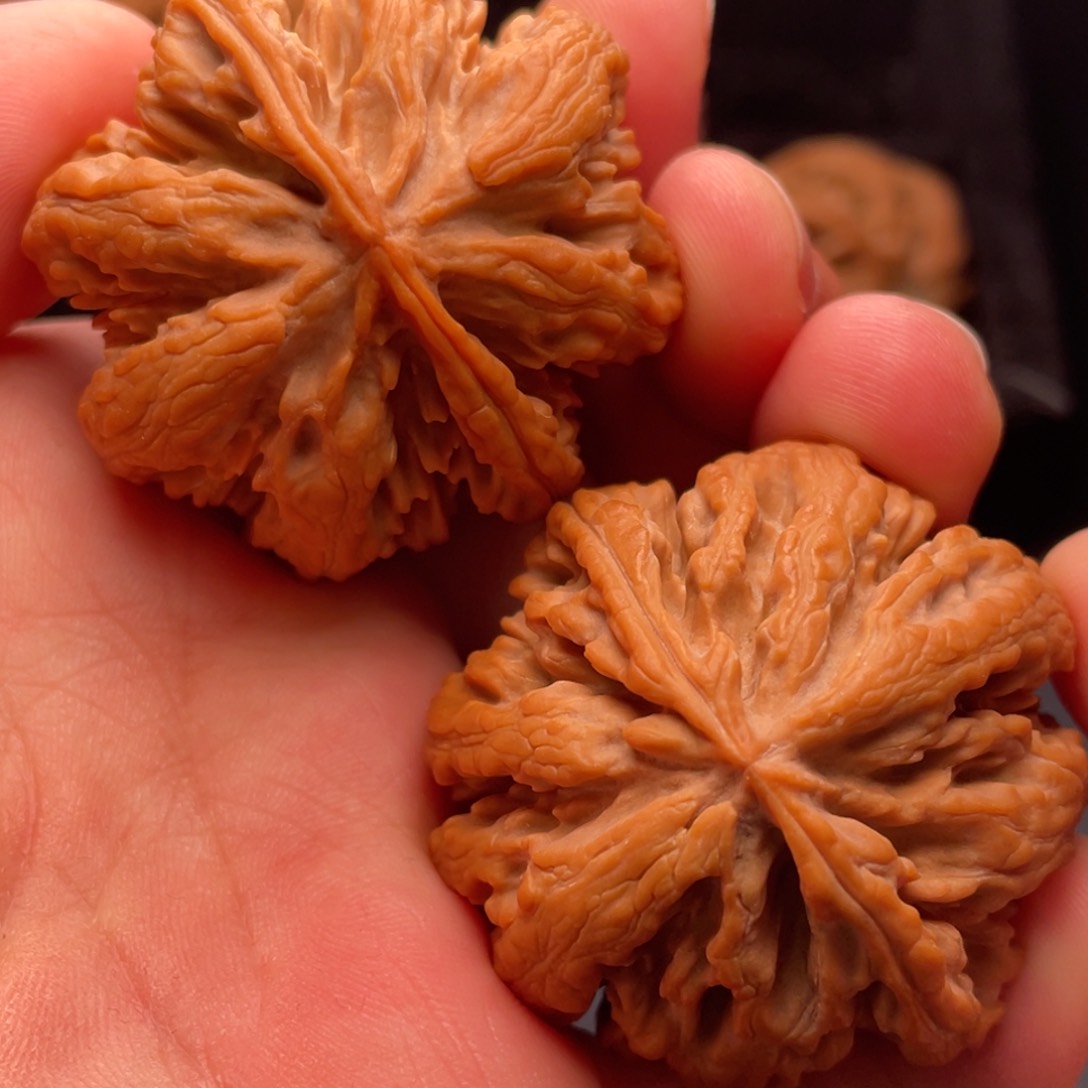 文玩核桃把件秦岭山脉