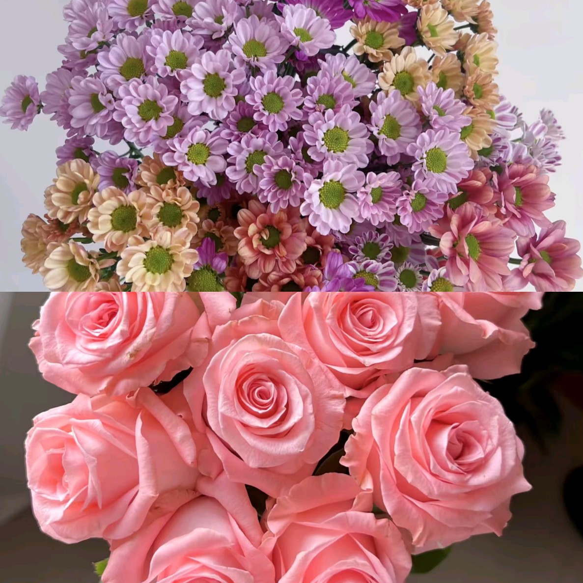 玫瑰雏菊鲜花组合（居家办公优选）