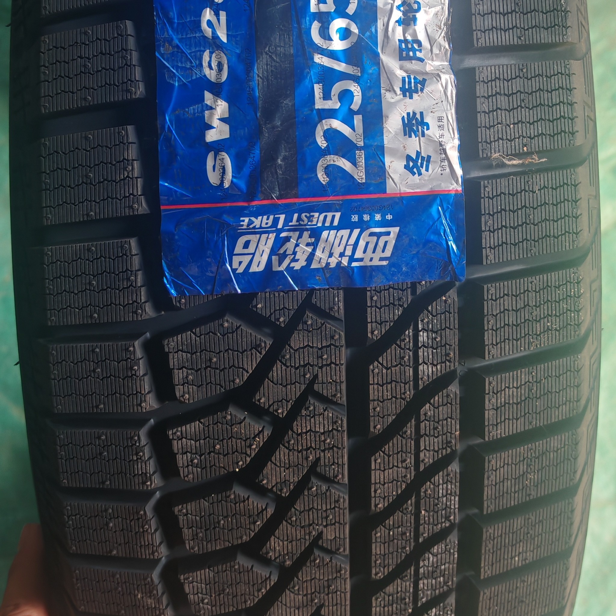 ❇️24年西湖雪地（4条起拍）