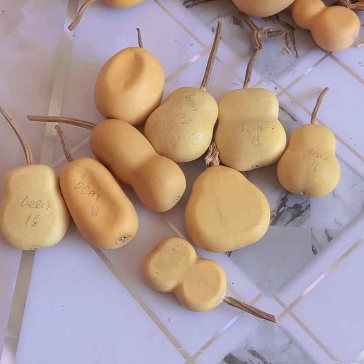 b***rBear熊熊熊熊恭喜发财