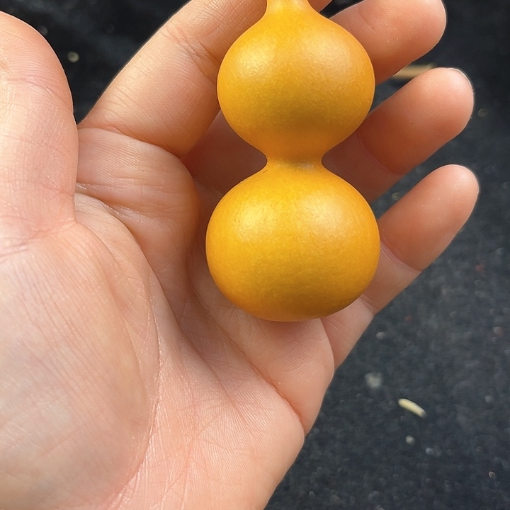木*丫天然葫芦一物一图看图片