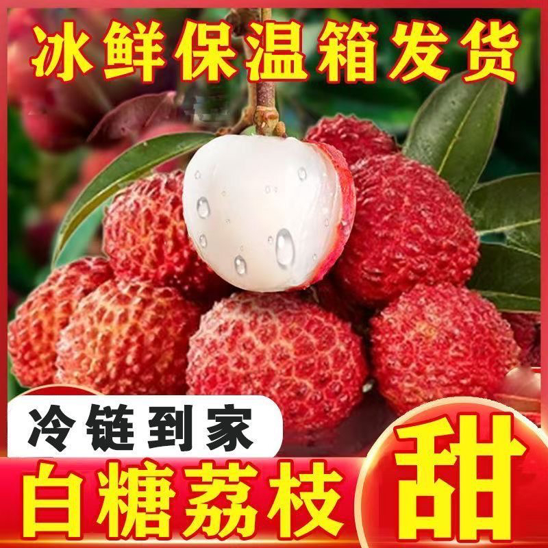 【旗舰品质只发精品果】白糖罂荔枝当季新鲜现摘果园直采水果