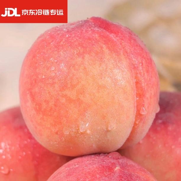 【省内专拍】正宗甘肃秦安水蜜桃仓方早生软硬两吃现摘现发产地直发