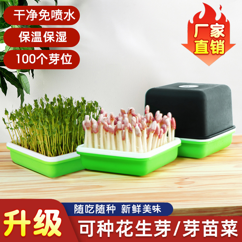 花生芽发芽神器水培箱加厚种植盒专用盘豆芽豆苗种植盘无土栽培