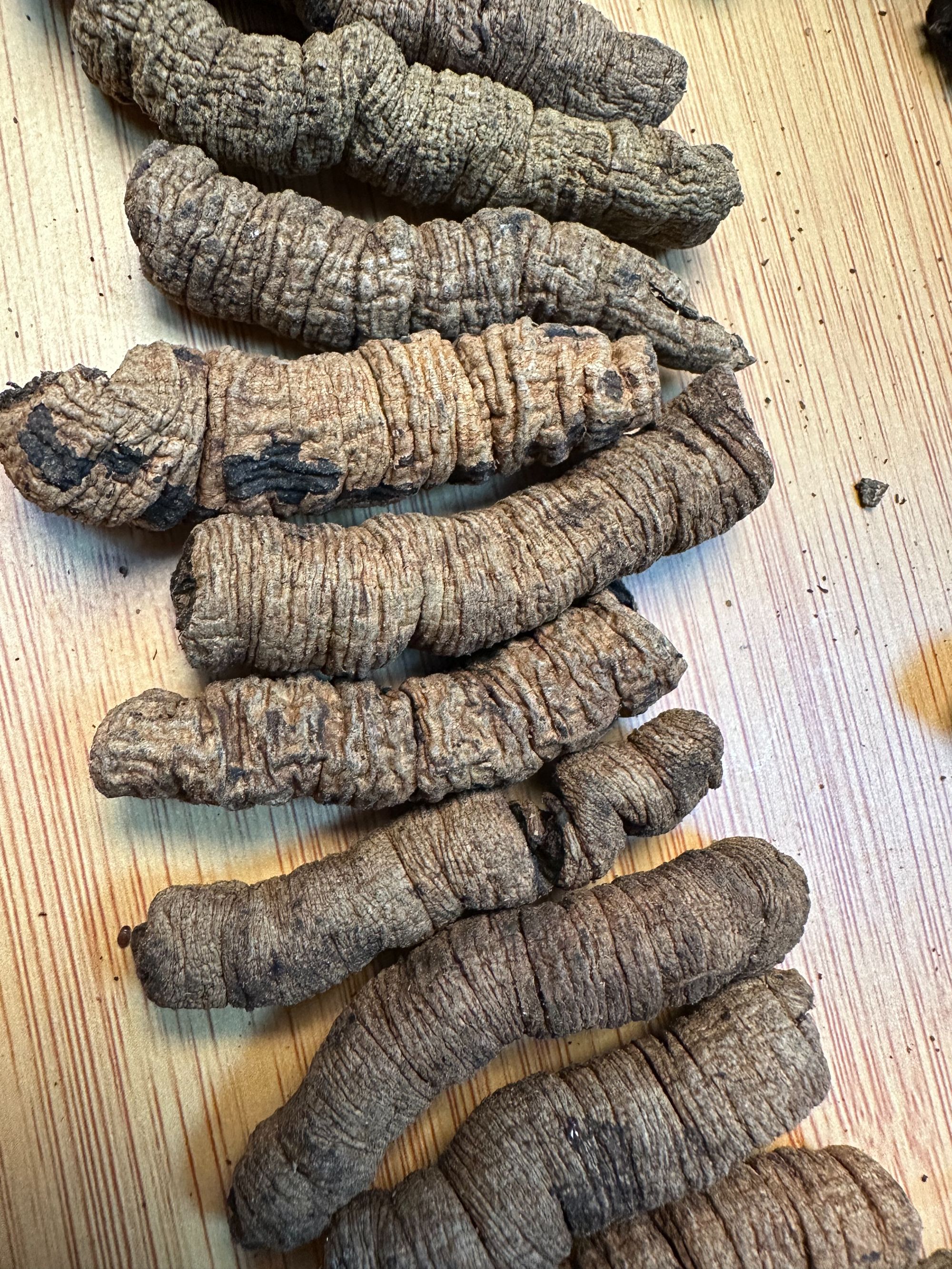 （大澳滋补）鱼胶花胶  八  戟  鱼胶花胶煲汤  