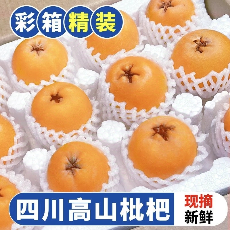 【坏果包赔】四川五星枇杷新鲜现摘大果当季甜枇杷水果