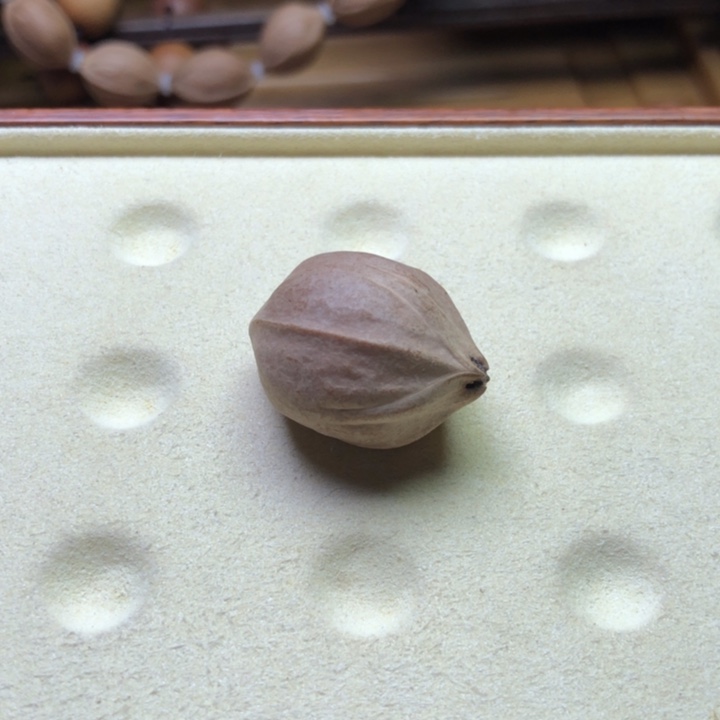 橄榄核手串梅林铁核21 X2.7