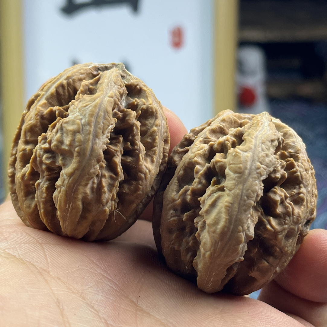 楸核桃直播间专属链接私拍随机发2