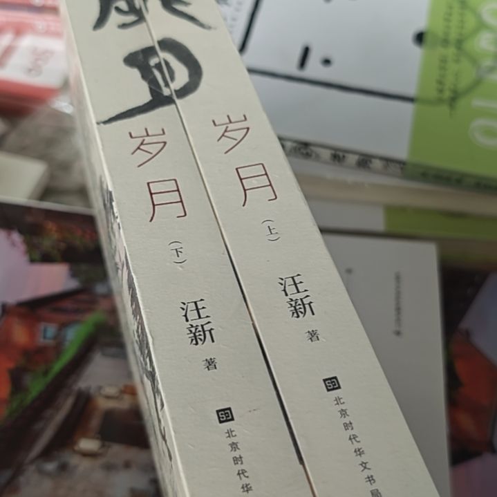 岁月上下两本一套王心柱。