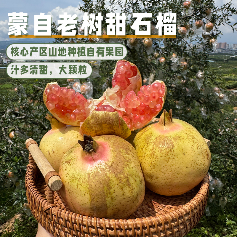 自家果园云南蒙自水晶老树甜石榴 清甜多汁果味浓郁绿籽石榴包邮