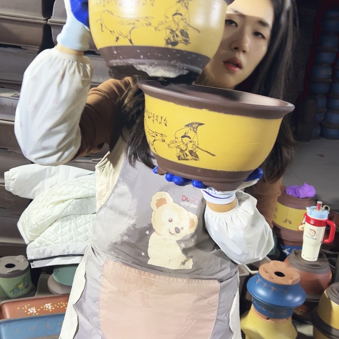 25+25黄色放牛娃三角金钟