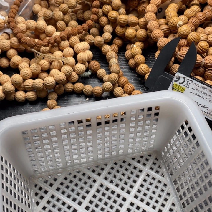 期***待核桃手串/手链私人定制不退不换50