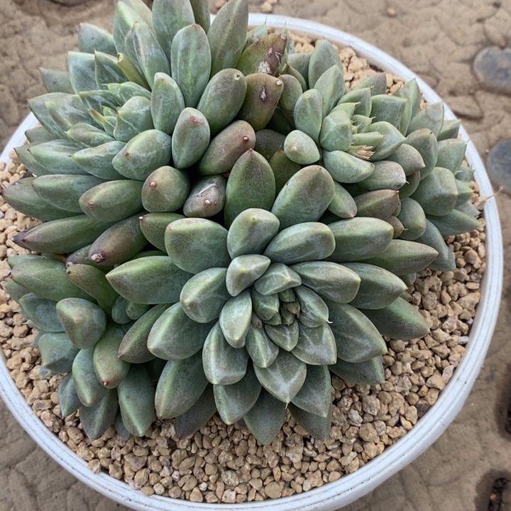 心***怡888888888888888888