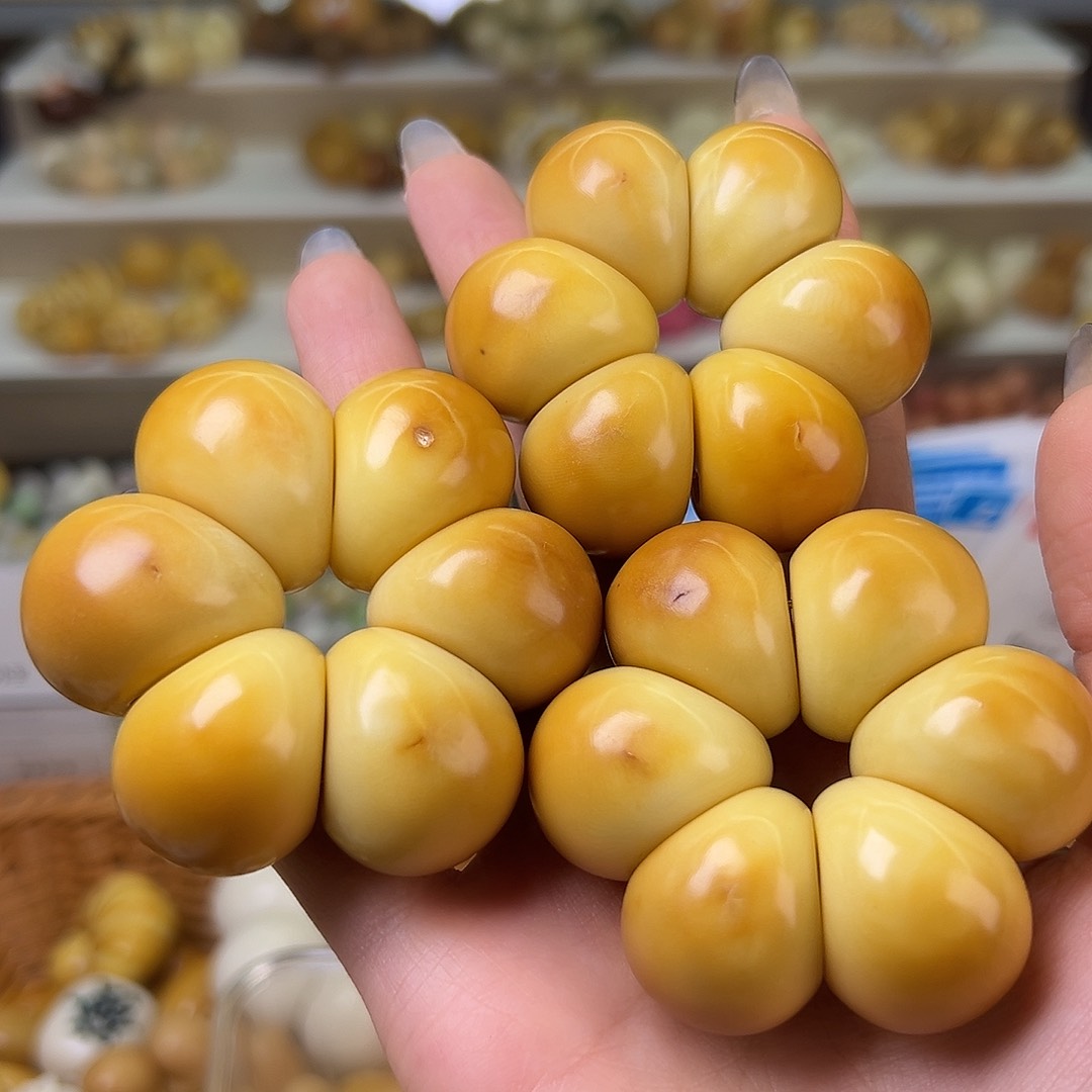 菩提根/象牙果吊坠卡25左右炭烤蒜瓣一条