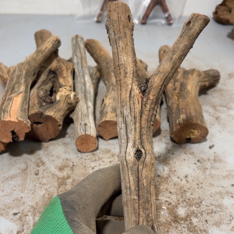 大果紫檀（缅甸花梨）阿**༽