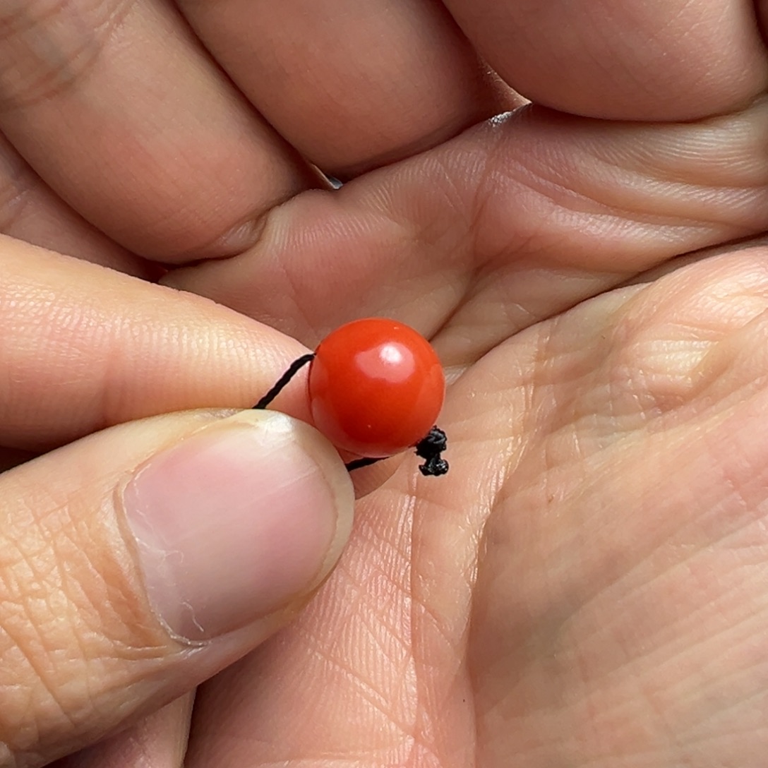 南红玛瑙颈饰未镶嵌f****y