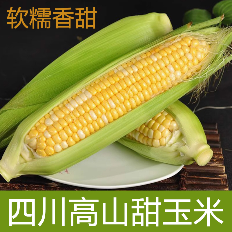 新鲜带皮金银水果玉米黄甜玉米低脂蔬菜甜玉米可榨汁即食现摘现发