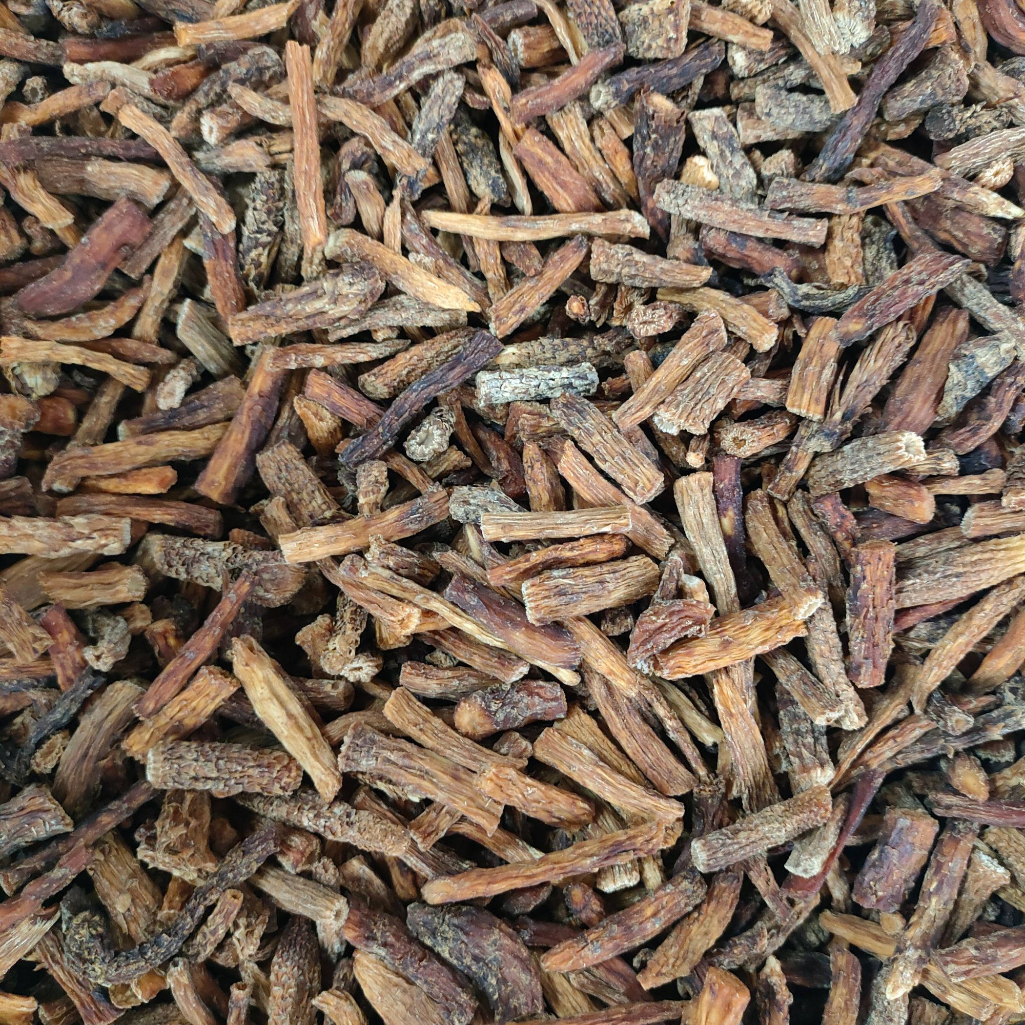 【黄金枞榕段200g】新疆沙漠人工种植泡水炖汤初级农产品