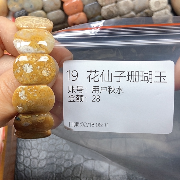 硅化珊瑚（珊瑚玉）手镯未镶嵌用**水19