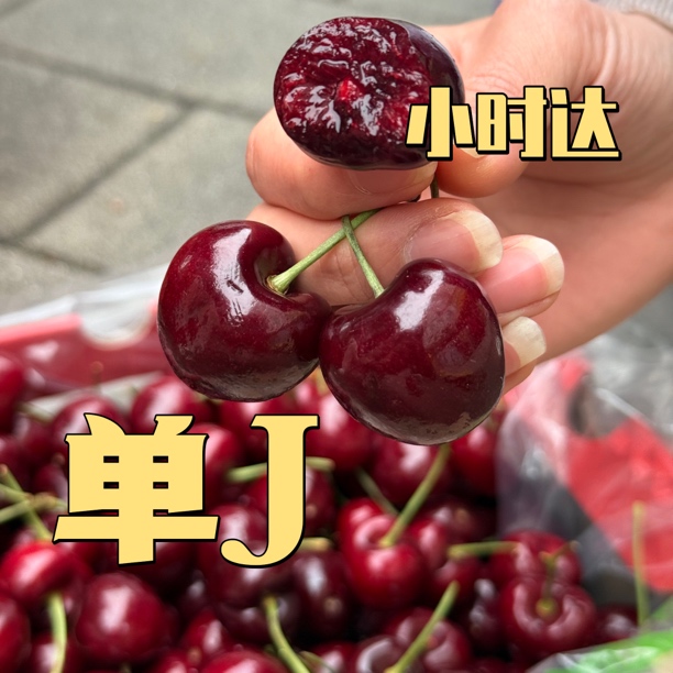 智利海运车厘子单J(4斤)内附果径卡拉宾斯智利