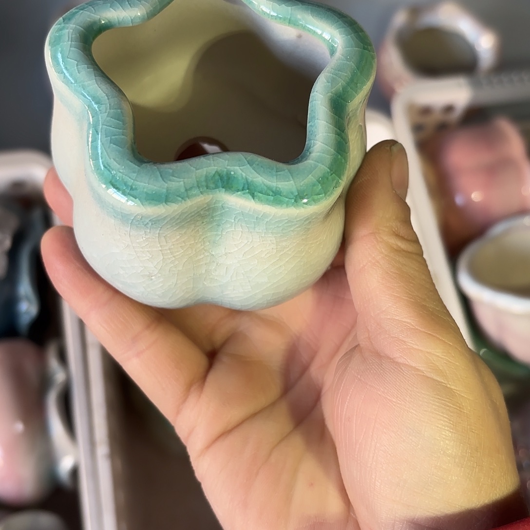 量货/5口高5深浅搭配发12