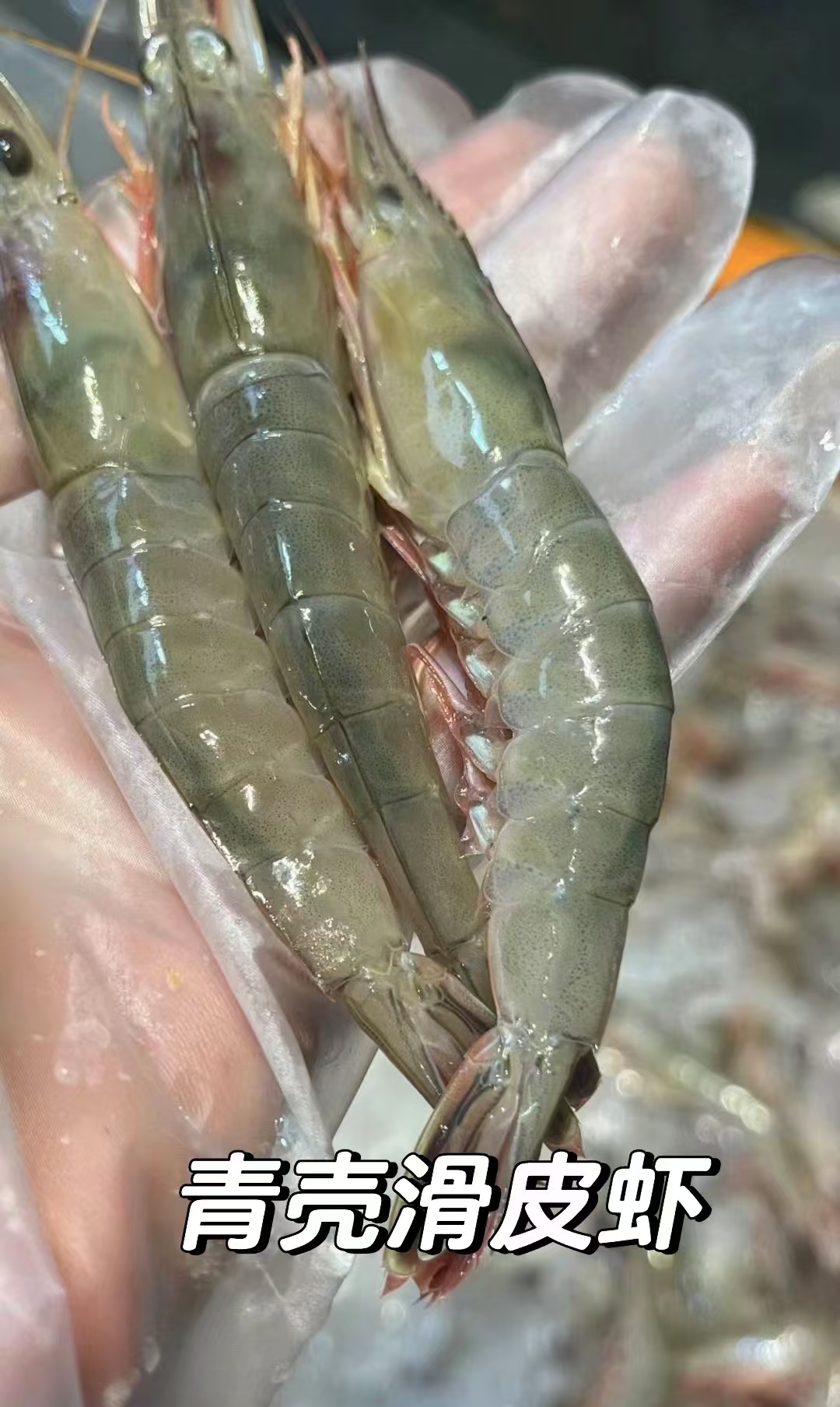 东海海捕纯野生大号深海滑皮虾硬壳虾鹰抓虾顺丰包邮