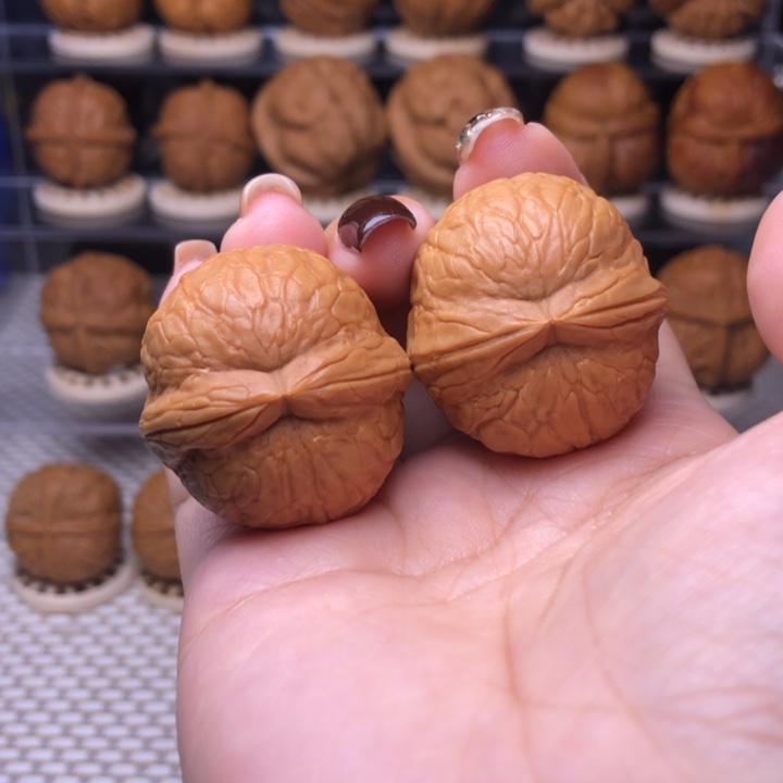 把件文玩核桃16号霸王筋33➕尺