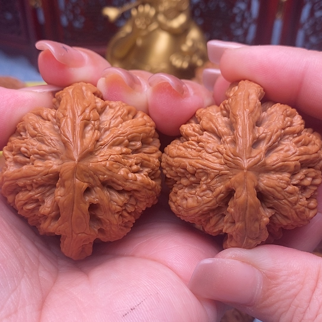 把件文玩核桃47全品毕业粗筋