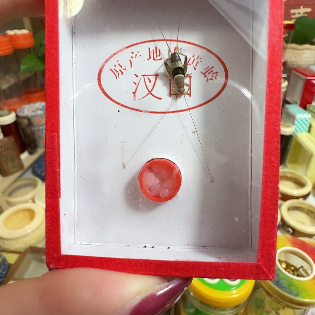 不***葱哈哈哈哈哈水墨一个