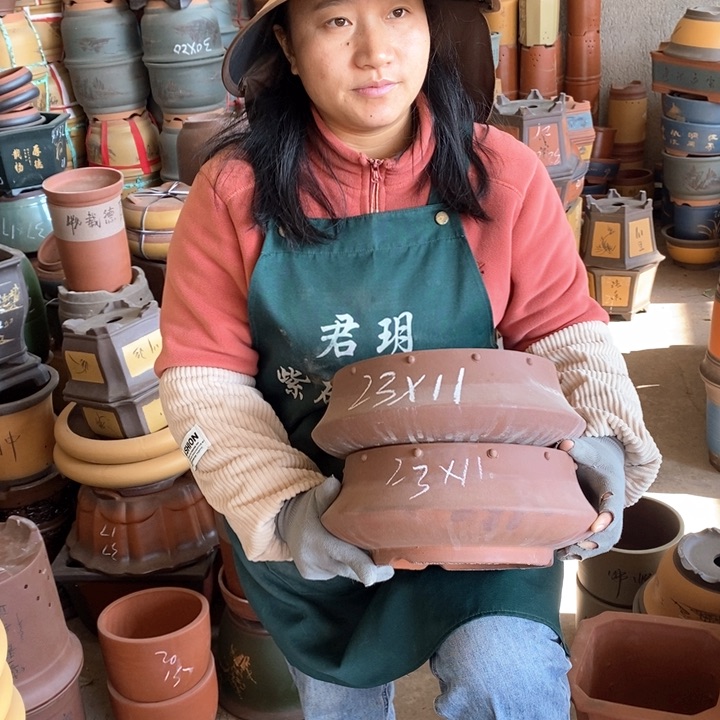 紫砂花盆盆栽花卉苗木种植