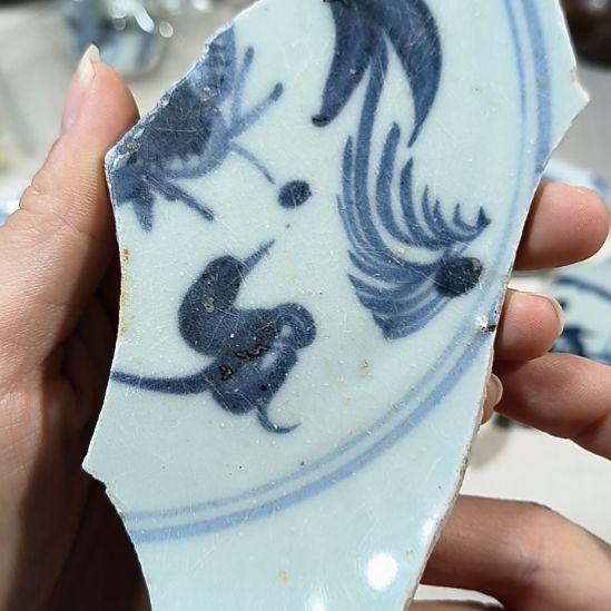 瓷片瓷片瓷片瓷片瓷片