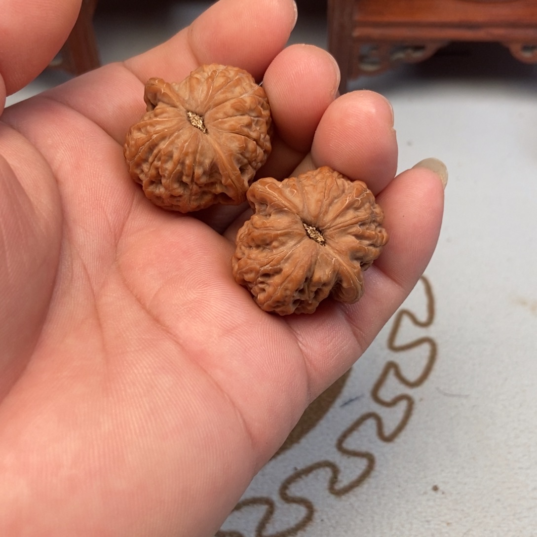@***哥大叶紫檀（黑酸枝木类）血麒麟