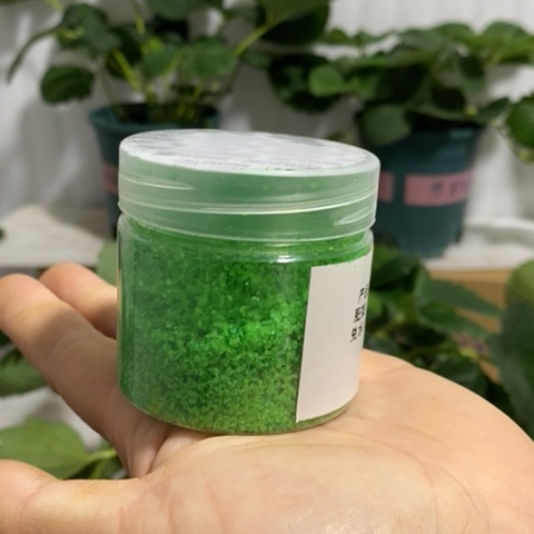 完全开放生***。草莓盆栽先用专用营养