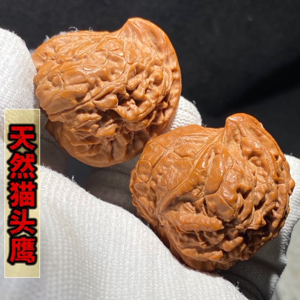 猫头鹰 天然异形核桃 稀有宝贝 全品更难得 喜爱异形玩家的热搜款